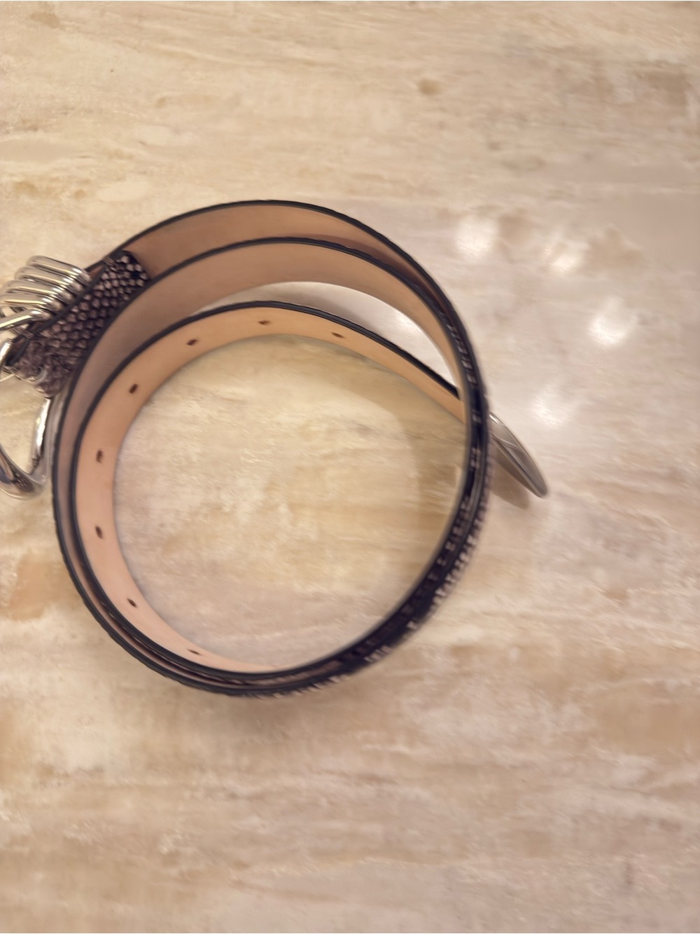 Dehanche Hollyhock Belt in Snake with Silver Hardware - Picture 12 of 13